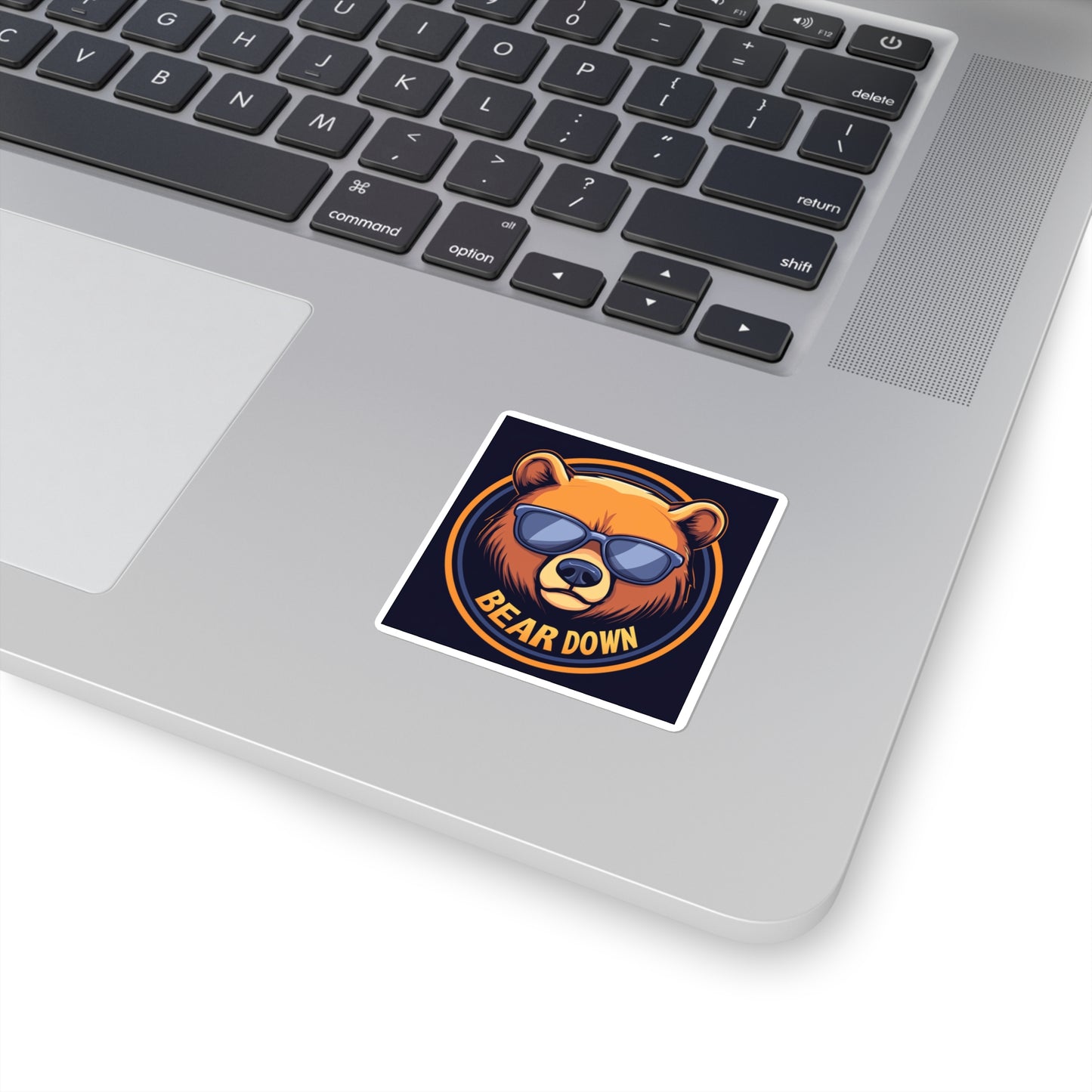 Bear Down Sunglasses Sticker
