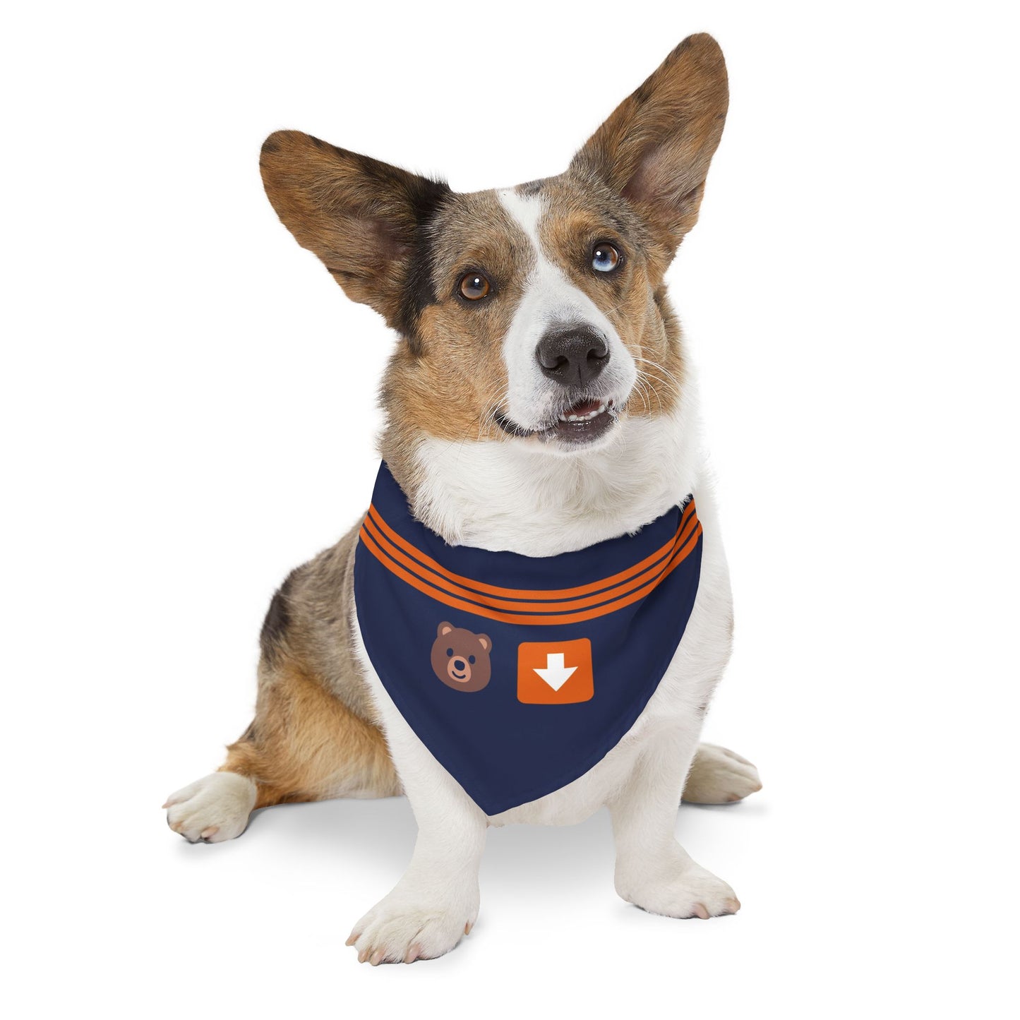 Bear Down Emoji Dog Bandana
