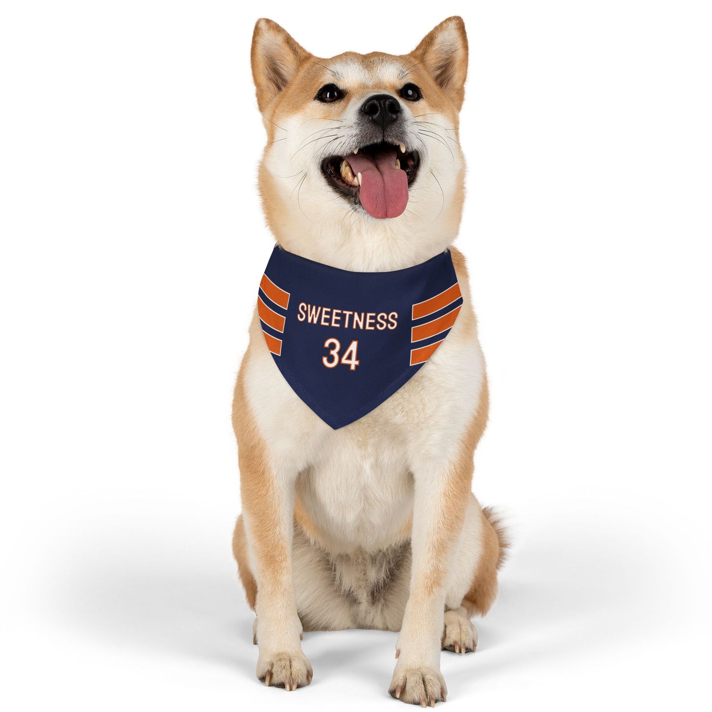 Walter Payton Dog Bandana