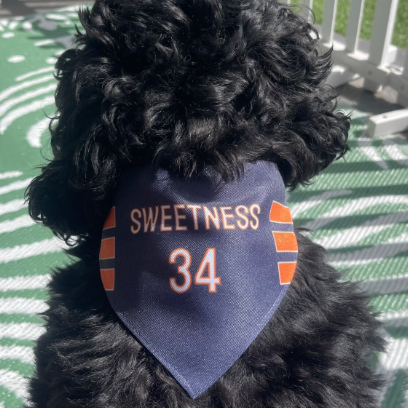 Walter Payton Dog Bandana