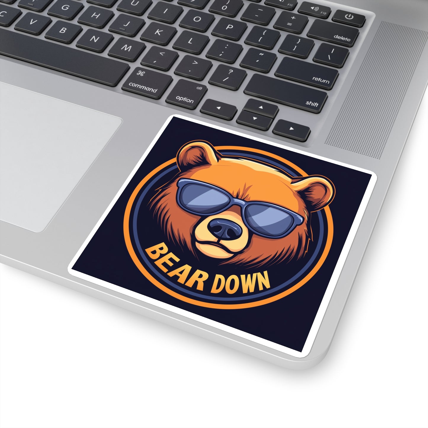 Bear Down Sunglasses Sticker