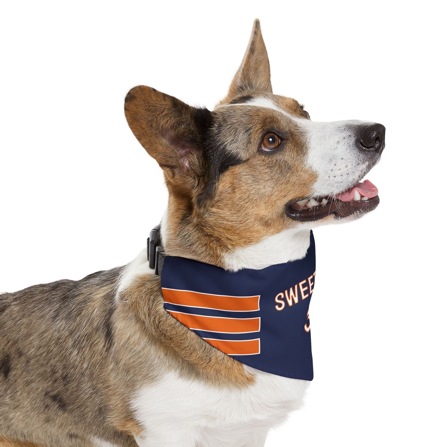 Walter Payton Dog Bandana