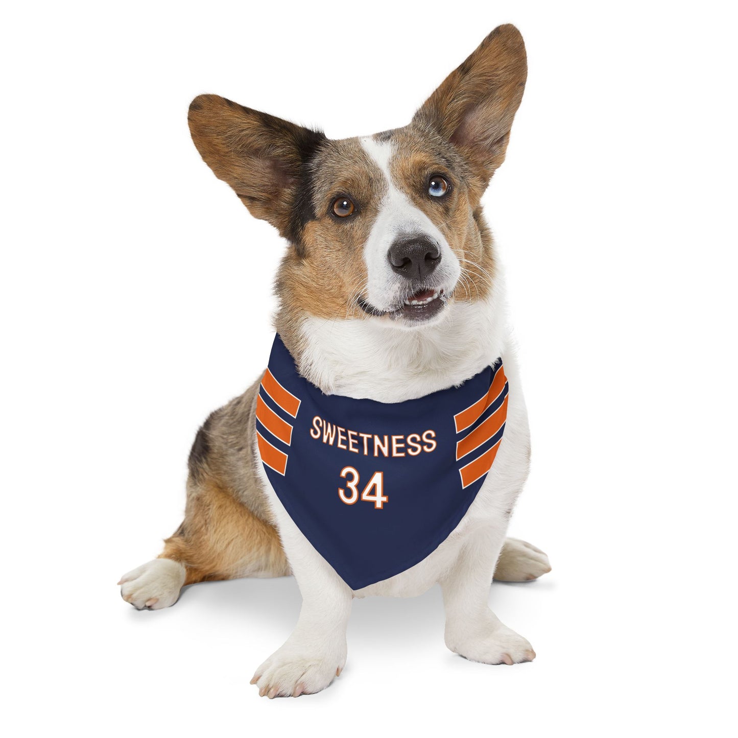 Walter Payton Dog Bandana